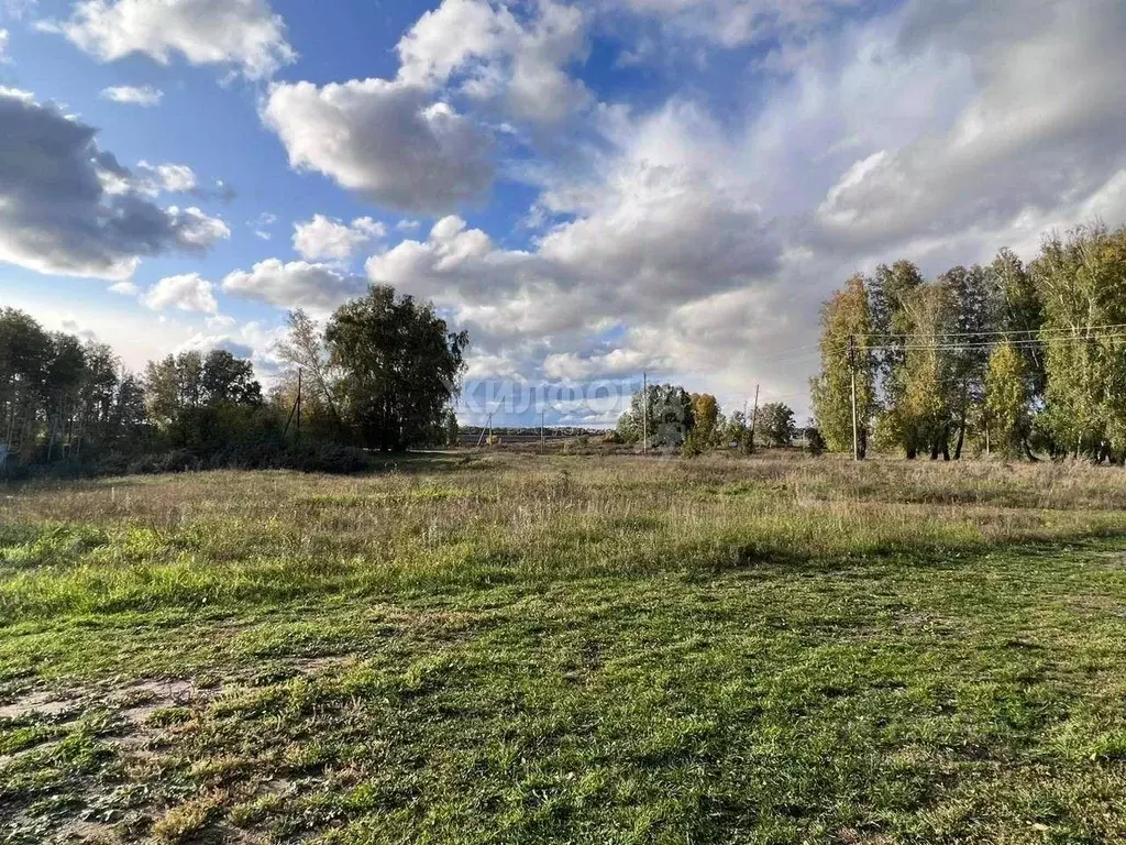 участок в новосибирская область, ордынский район, с. красный яр ул. . - Фото 1