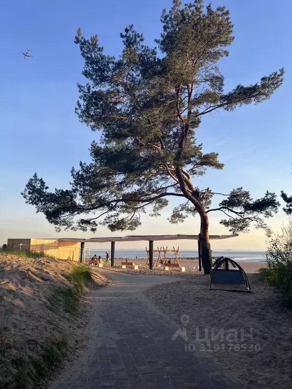 1-к кв. Санкт-Петербург, Санкт-Петербург, Сестрорецк дор. Таможенная, ... - Фото 1