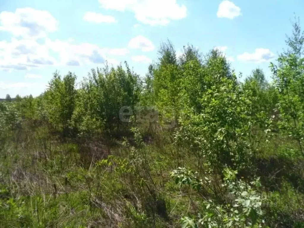 Участок в Псковская область, Псковский район, Логозовская волость, д. ... - Фото 2