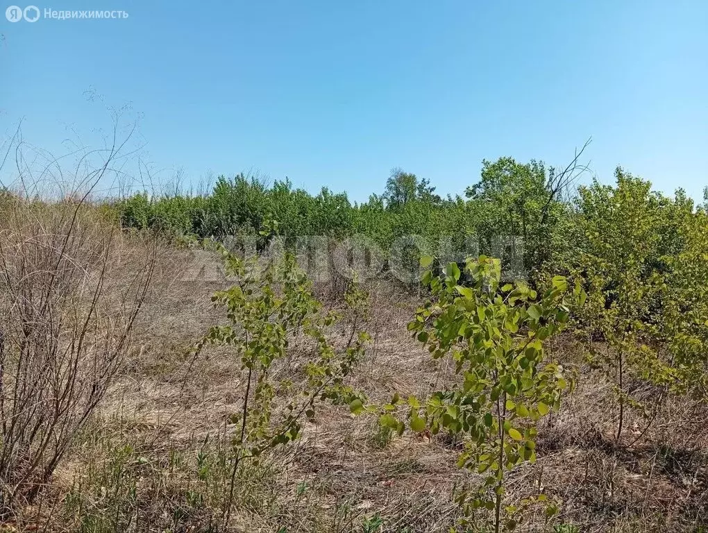 Участок в Благовещенск, Игнатьевское шоссе (6.6 м) - Фото 1