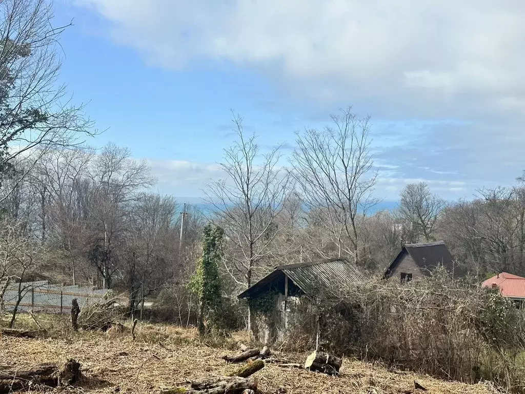 Участок в Краснодарский край, Сочи пос. Лоо, ул. Таллинская, 71 (6.0 ... - Фото 1