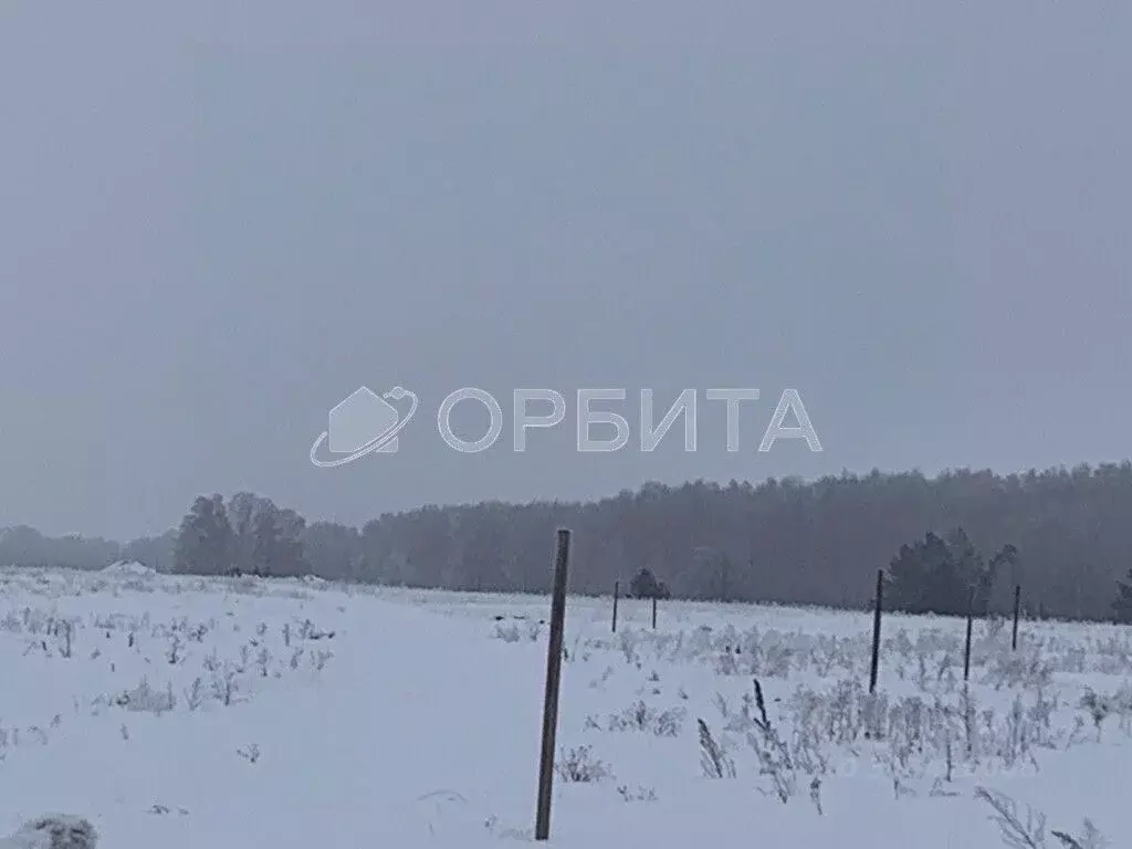 Участок в Тюменская область, Тюменский район, д. Марай ул. Сибирская ... - Фото 1