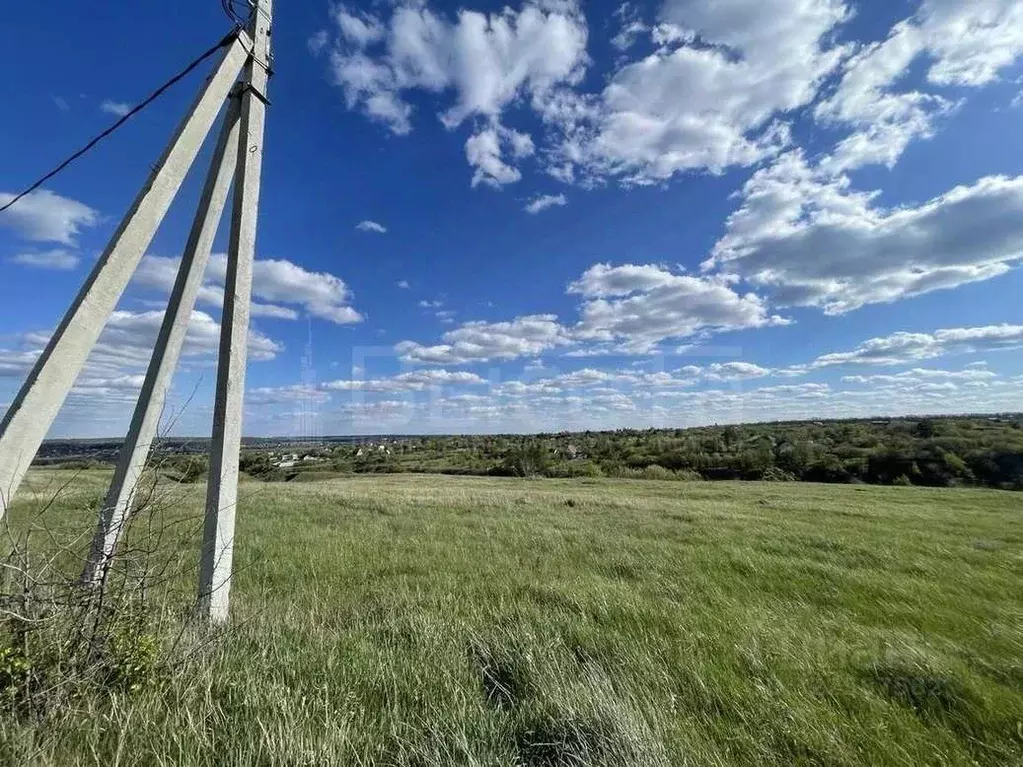 Участок в Воронежская область, Рамонский район, Новоживотинновское ... - Фото 2