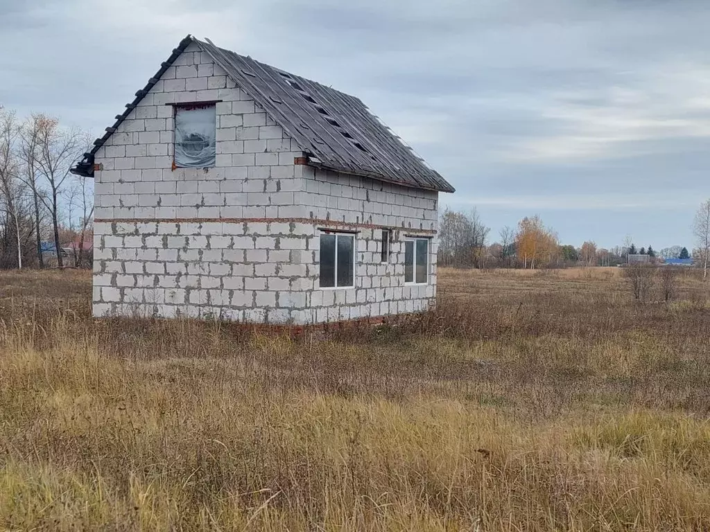 Дом в Тамбовская область, Мичуринский муниципальный округ, с. Стаево ... - Фото 0