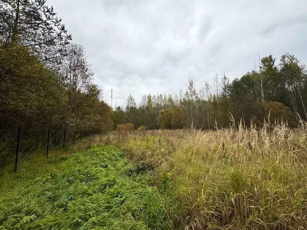Участок в Кисельнинское сельское поселение, садоводческий массив ... - Фото 0