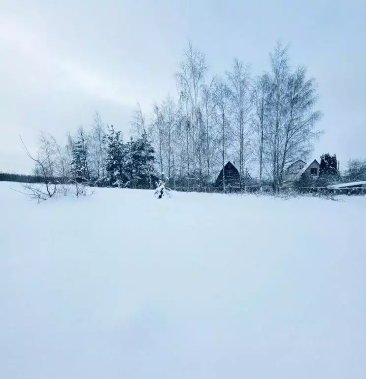 Участок в Московская область, Мытищи ул. Фурманова (8.0 сот.) - Фото 1