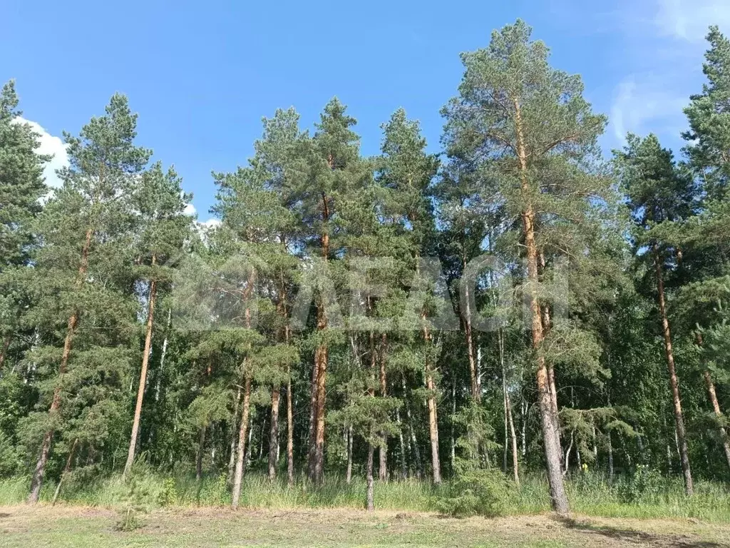 Участок в Омская область, Омский район, с. Усть-Заостровка ул. 4-я ... - Фото 0
