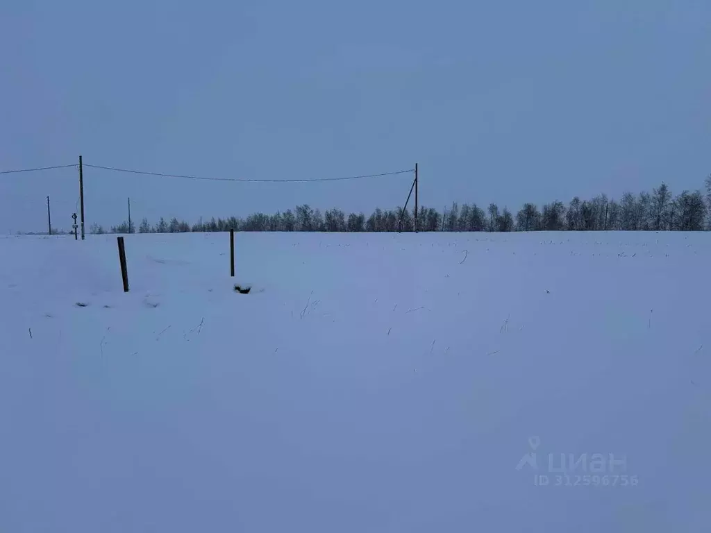 Участок в Саха (Якутия), Якутск городской округ, с. Хатассы  (14.0 ... - Фото 0