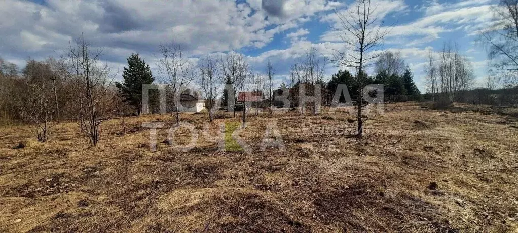 Участок в Новгородская область, Боровичский район, д. Егла Зеленый ... - Фото 2