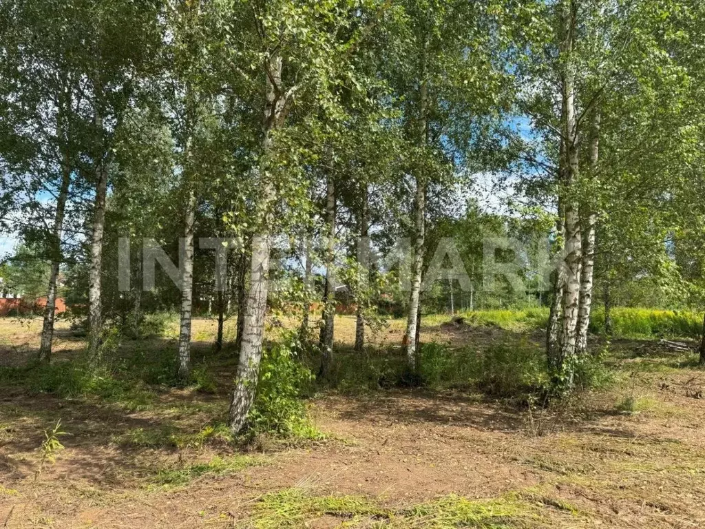 Участок в Московская область, Красногорск городской округ, д. ... - Фото 2