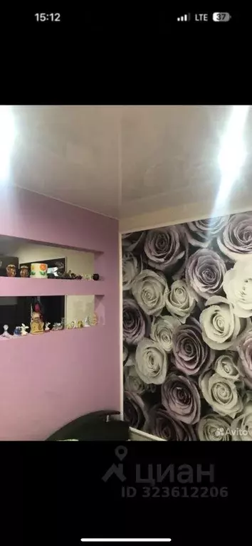 1-к кв. Псковская область, Псков ул. Яна Фабрициуса, 13 (31.0 м) - Фото 1