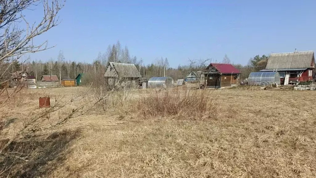 Участок в Ленинградская область, Киришский район, Глажевское с/пос, ... - Фото 2