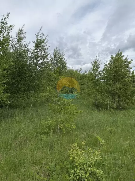Участок в Тверская область, Конаковский муниципальный округ, д. ... - Фото 2