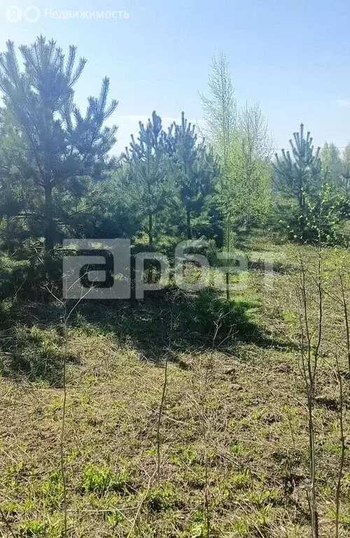 Участок в Кострома, Фабричный район, улица Валентина Зайцева (8.7 м) - Фото 2