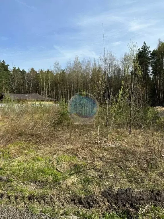 Участок в Тульская область, Веневский муниципальный округ, д. Сетка ... - Фото 1