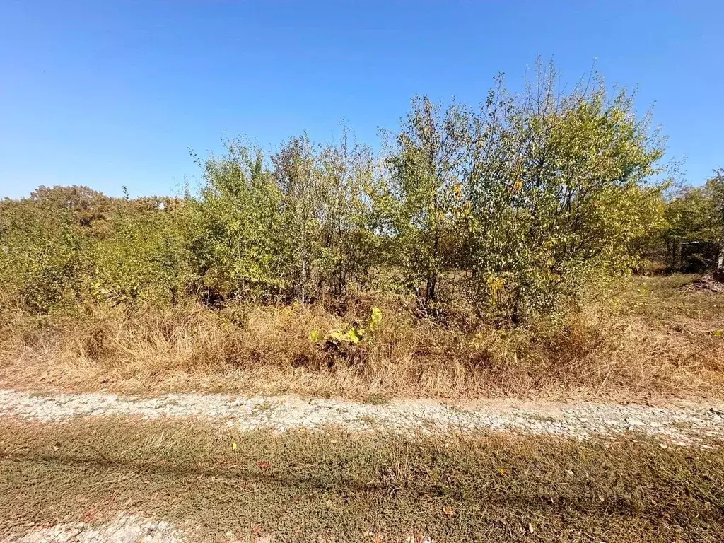 Участок в Краснодарский край, Северский район, Азовское с/пос, ... - Фото 2