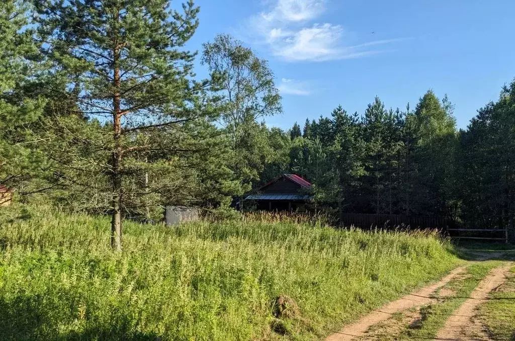 Дом в Новгородская область, Валдайский район, Рощинское с/пос, д. ... - Фото 1