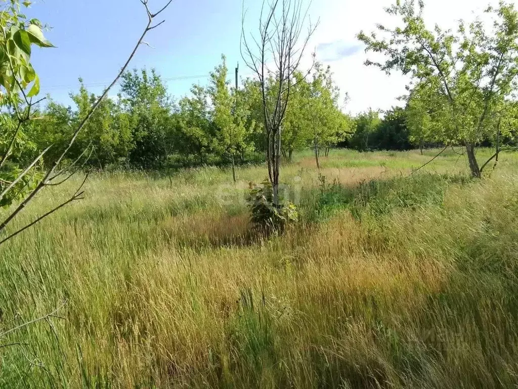 Участок в Ульяновская область, Ульяновский район, Ишеевское городское ... - Фото 1