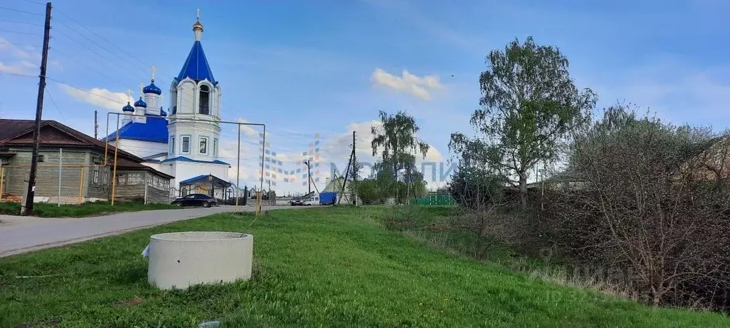 Дом в Нижегородская область, Богородский муниципальный округ, с. ... - Фото 2