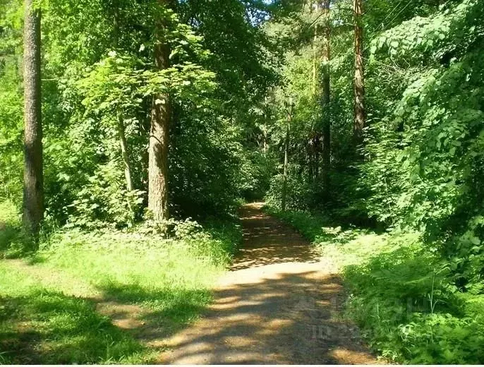 Участок в Ленинградская область, Всеволожск просп. Грибоедова, 110А ... - Фото 1