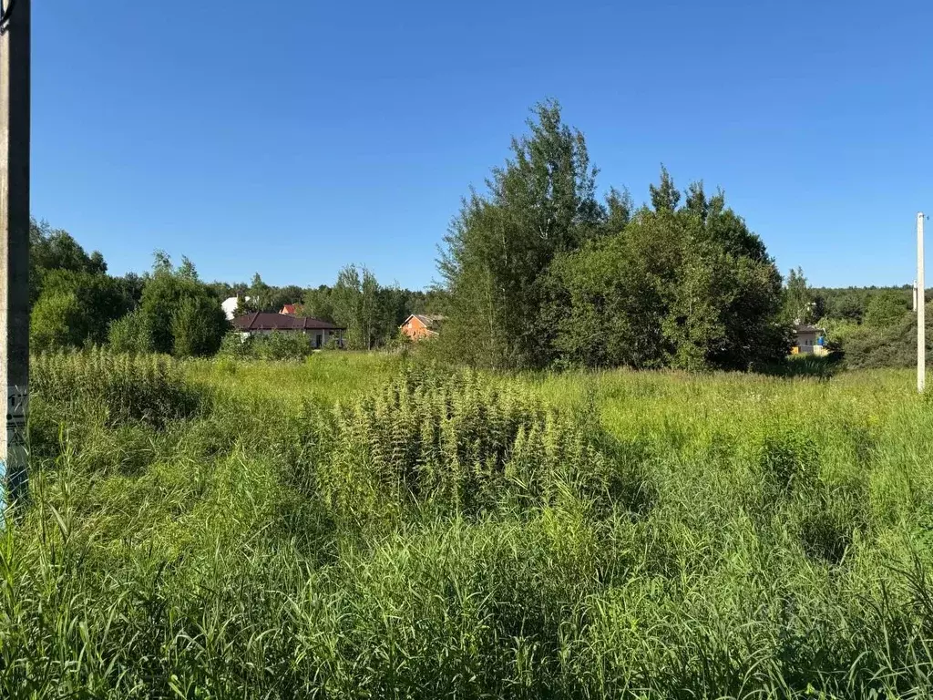 Участок в Московская область, Ленинский городской округ, д. Большое ... - Фото 2