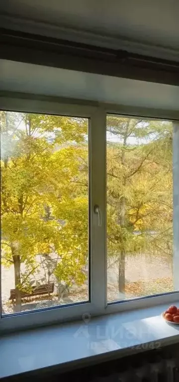 1-к кв. Санкт-Петербург просп. Большой Васильевского острова, 41 (35.0 ... - Фото 1