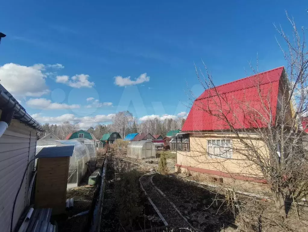 Купить Сад На Старателе В Нижнем
