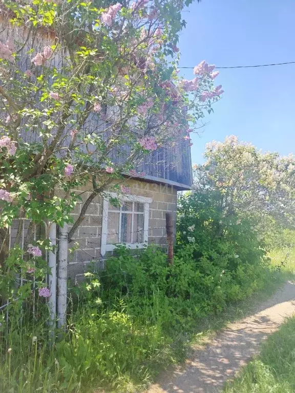 Дом в Татарстан, Нижнекамский район, Каенлинское с/пос, Березовая ... - Фото 0