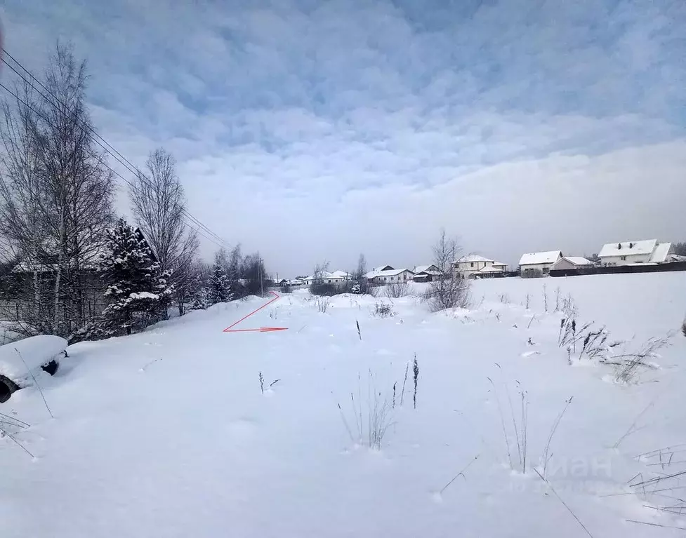 Участок в Ленинградская область, Всеволожский район, Юкковское с/пос, ... - Фото 2