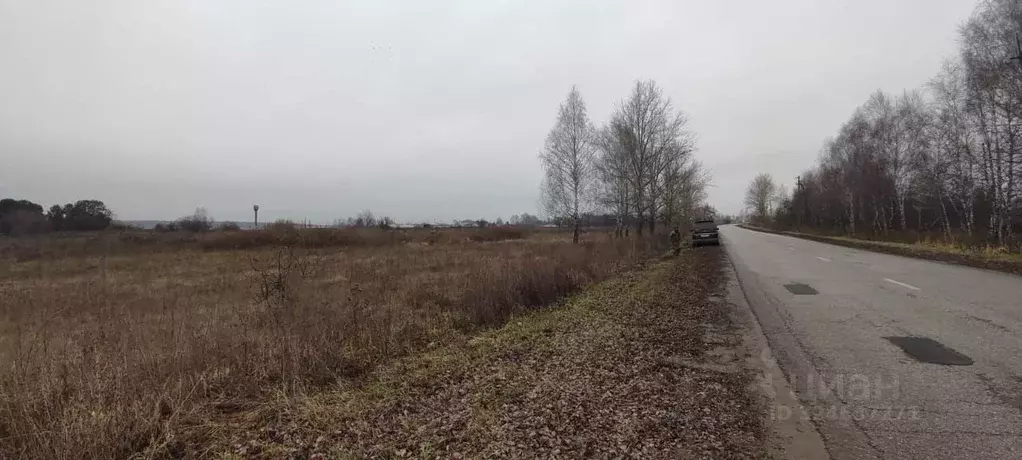 Участок в Пензенская область, Бессоновский район, с. Сосновка ... - Фото 2