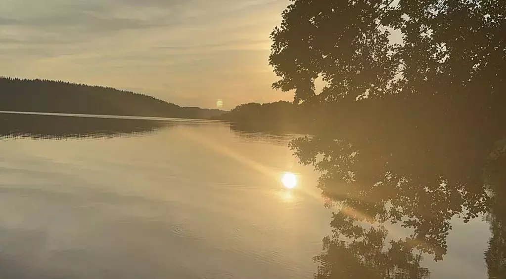 Участок в Ленинградская область, Выборгский район, Полянское с/пос, ... - Фото 1