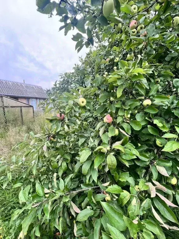 Дом в Тверская область, Калининский муниципальный округ, д. Сергеевка ... - Фото 1