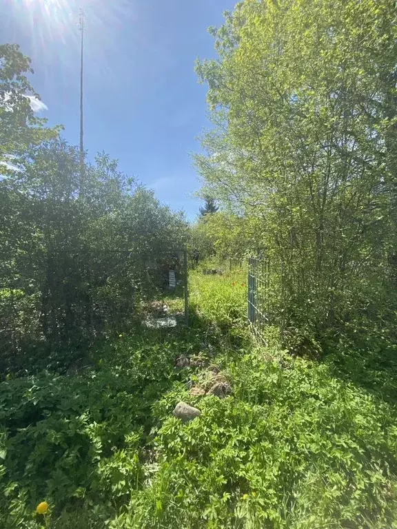 Дом в Ленинградская область, Гатчинский муниципальный округ, ... - Фото 2