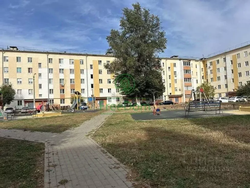 1-к кв. Белгородская область, Строитель Яковлевский городской округ, ... - Фото 2