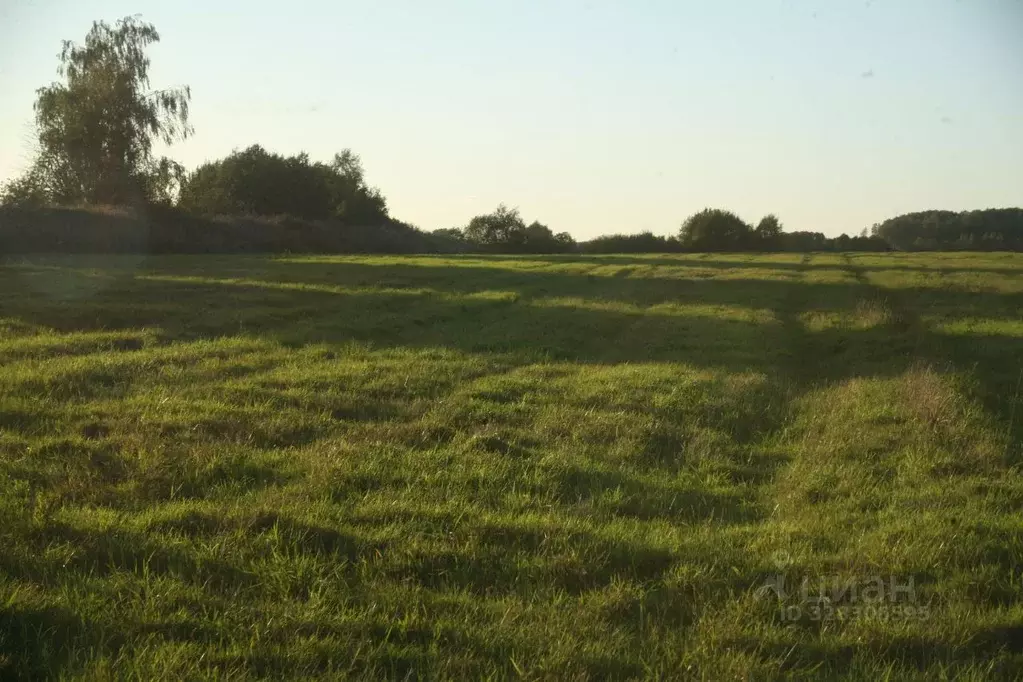 Участок в Московская область, Сергиево-Посадский городской округ, д. ... - Фото 1