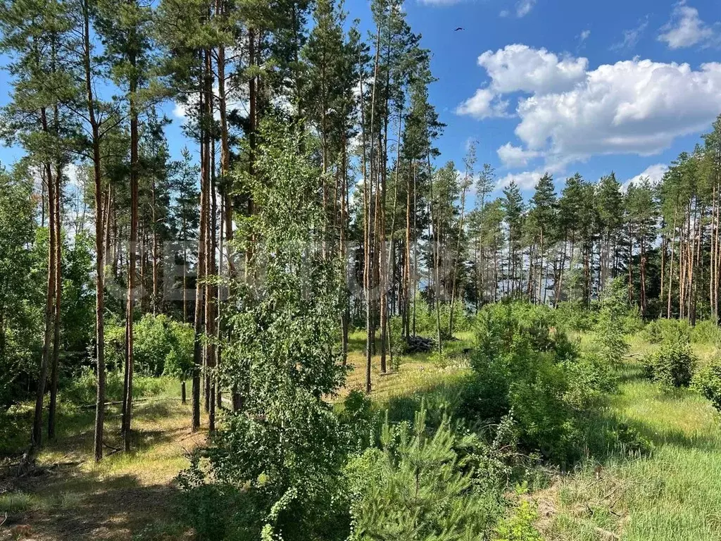 Участок в Липецкая область, Грязинский муниципальный округ, ... - Фото 1