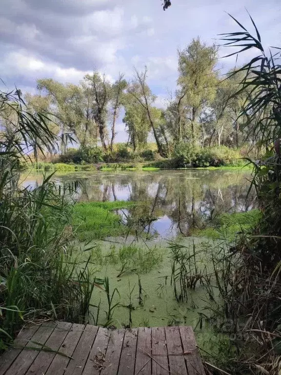 Участок в Белгородская область, Чернянский район, Русскохаланское ... - Фото 2