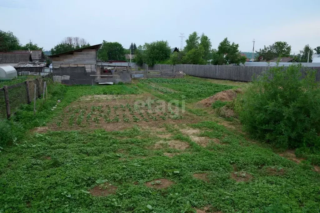 Участок в Амурская область, Благовещенский район, с. ... - Фото 1