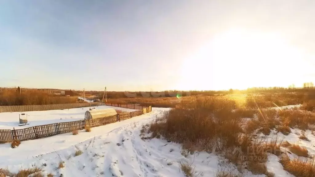 Участок в Тюменская область, Тюменский район, Винзили рп, Надежда СНТ  ... - Фото 1