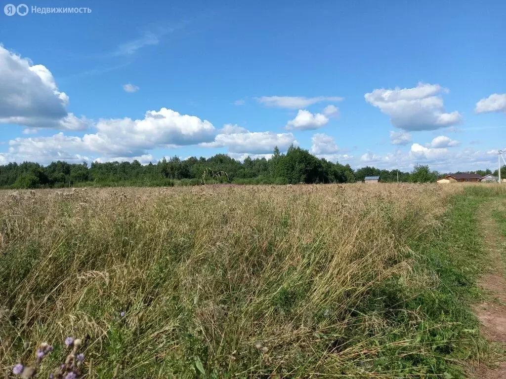 Участок в Трубичинское сельское поселение, деревня Теремец (15 м) - Фото 2