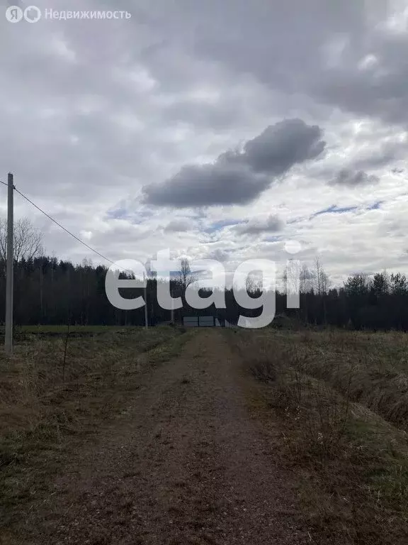 Участок в Выборгский район, Рощинское городское поселение, посёлок ... - Фото 2