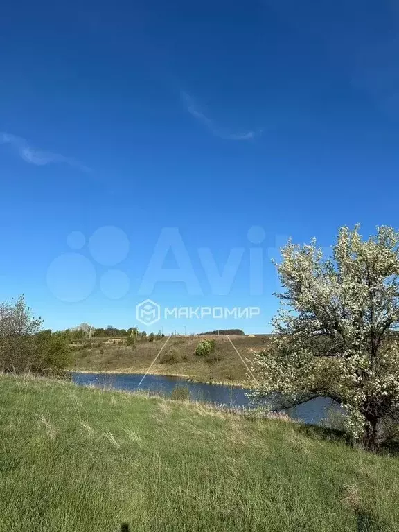 Участок 50 сот. (личное подсобное хозяйство (лпх)) - Фото 0