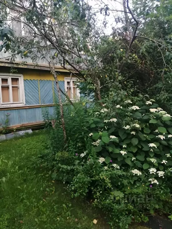 Участок в Ленинградская область, Гатчинский муниципальный округ, Чаща ... - Фото 1