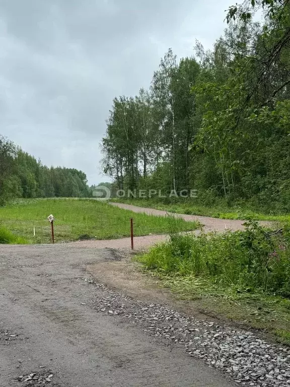 Участок в Ленинградская область, Приозерский район, Мельниковское ... - Фото 0