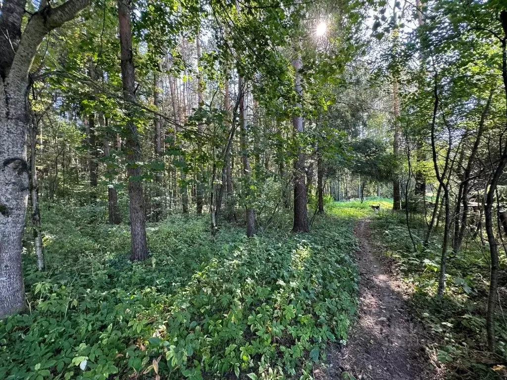 Участок в Московская область, Наро-Фоминск ул. Володарского (13.0 ... - Фото 1