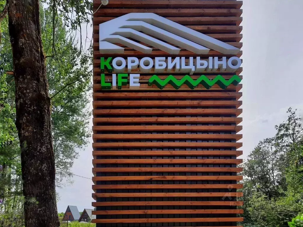 Участок в Ленинградская область, Приозерский район, Красноозерное ... - Фото 1