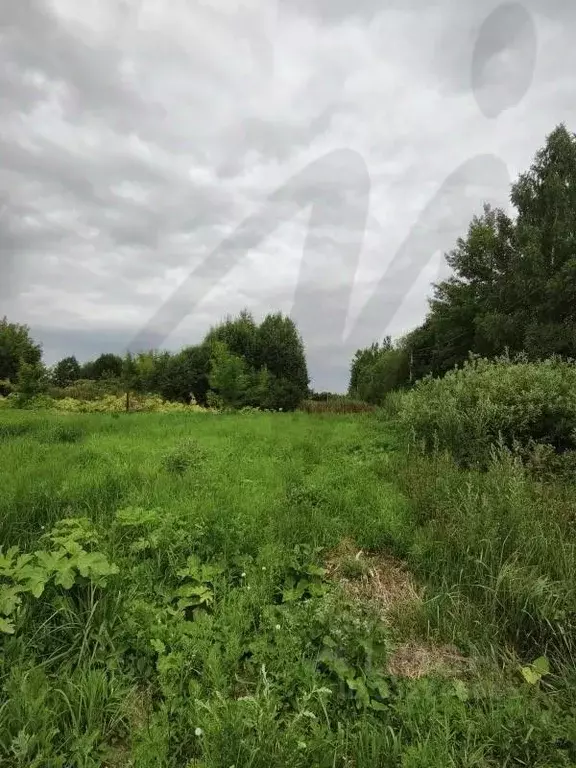 Участок в Московская область, Клин городской округ, д. Елгозино ул. ... - Фото 2