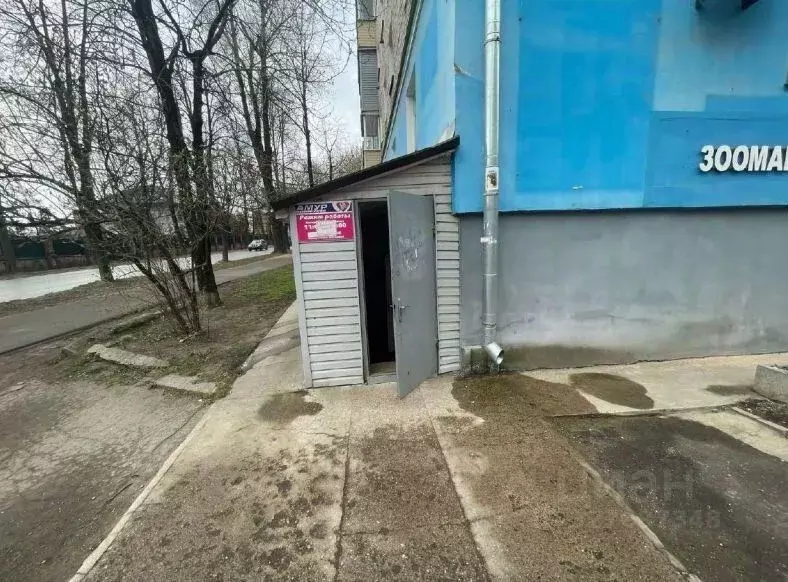 Помещение свободного назначения в Псковская область, Великие Луки ул. ... - Фото 2