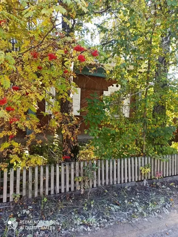 Дом в Новосибирская область, Искитим ул. Коротеева (43 м) - Фото 0