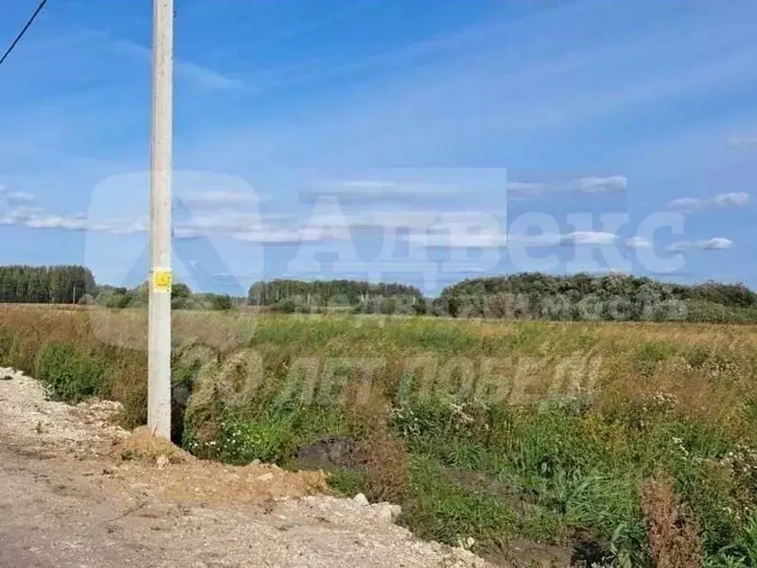 Участок в Тюменская область, Тюменский район, с. Горьковка  (8.0 сот.) - Фото 2